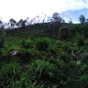 Meet your Posher, Adán